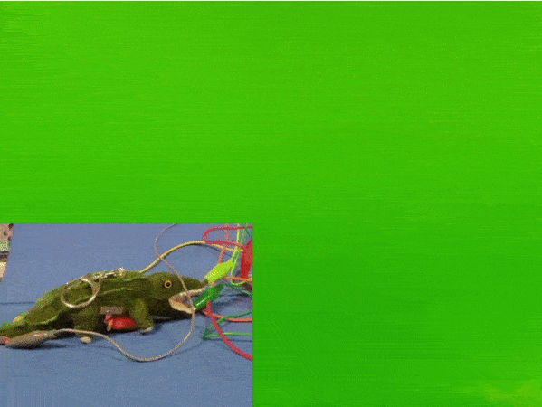 A video showcases the iterated circuit that now responds to three points of contact, with the mouth, sides, and tail, In the p5 it also has corresponding text. Chomp! for the mouth, Squeeze! for the sides, and Wag! for the tail